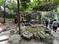 Farm In The City KL – A Fun and Hands-On Experience for the Whole Family