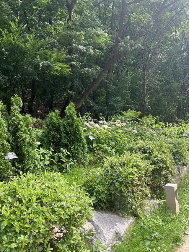 황톳길 공원