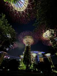 シンガポールといえば、やっぱりチャンギ空港