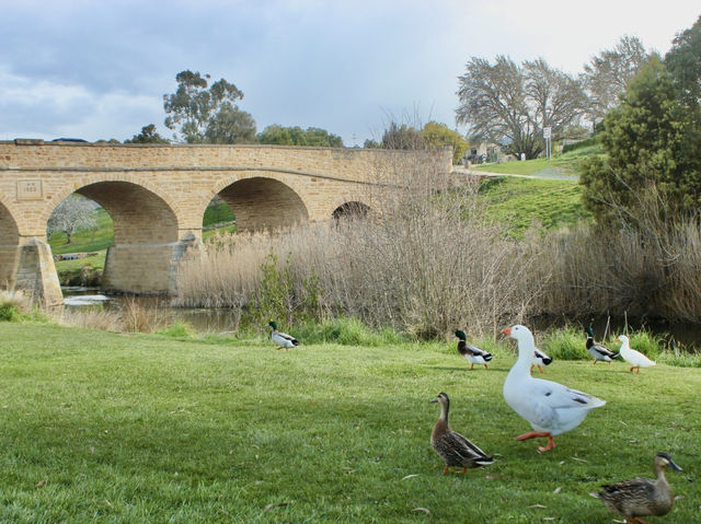 Where ducks wander and sandstone remembers: the slow beauty of Richmond Bridge