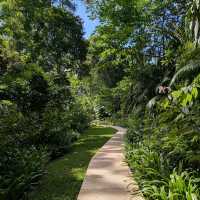 Datai Canopy Suite