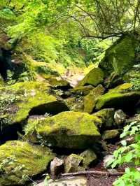 Nishizawa Gorge สวรรค์ของนักเดินป่า