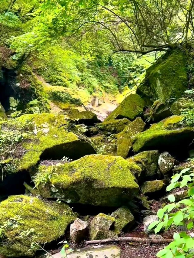 Nishizawa Gorge สวรรค์ของนักเดินป่า