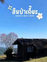 สันป่าเกี๊ยะน่ารักมาก 🌺