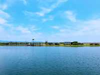 龜山島登島：與海豚相遇的夢幻小旅行 🌊🐬