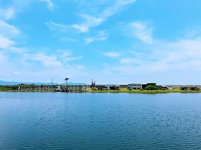 龜山島登島：與海豚相遇的夢幻小旅行 🌊🐬