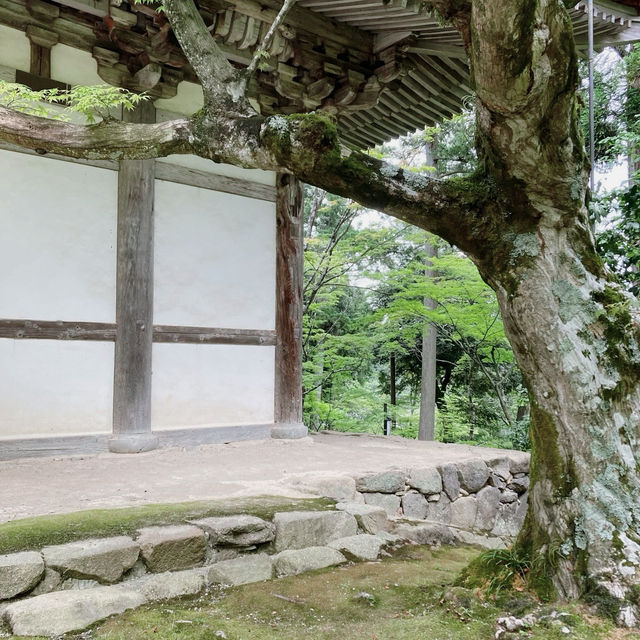 玄峯院~寧靜禪境