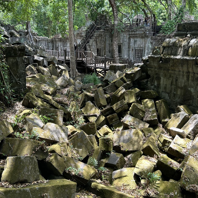 【ラピュタの世界🪐】ベンメリア遺跡で出会った崩れゆく美しさ🌿 