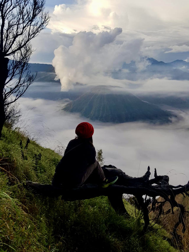 "Volcanic Sunrise Dreams at Bromo 🌋🌅”