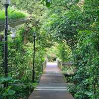 MacRitchie Reservoir & TreeTop Walk