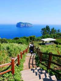 Ulleungdo, Main Character Energy