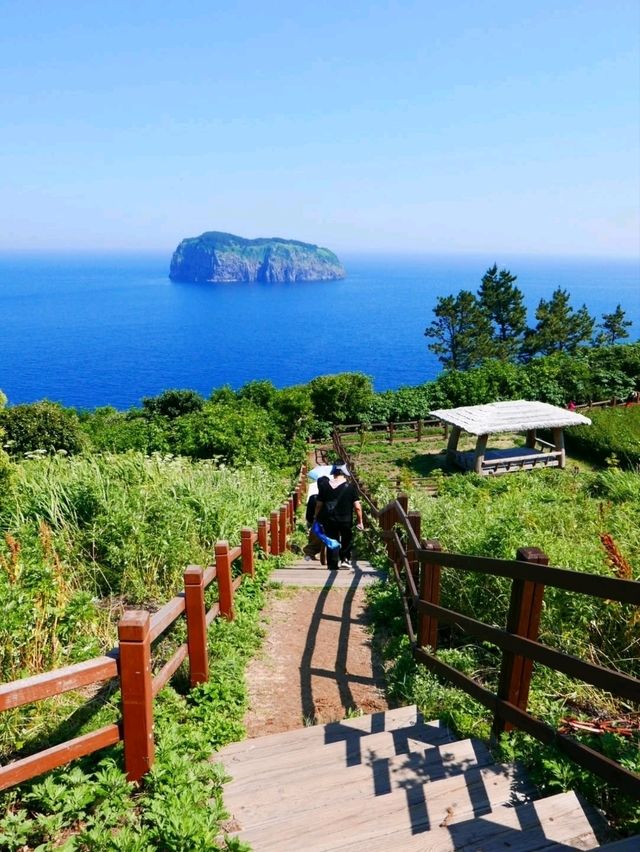 Ulleungdo, Main Character Energy