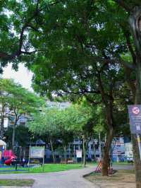 🌳桃園內壢人的秘密綠洲！自強公園散步放空好去處，綠意包圍的城市小森林