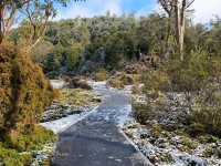 Tasmania never cease to amaze