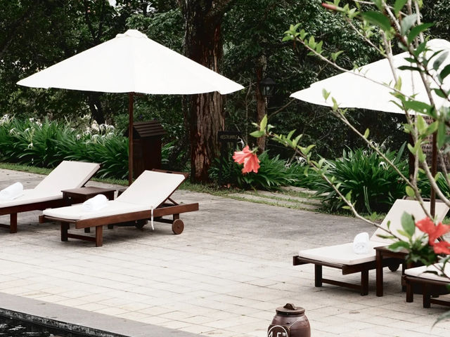 Da Lat, Vietnam: My Perfect Mid-to-Late May Getaway! 🌸🌧️