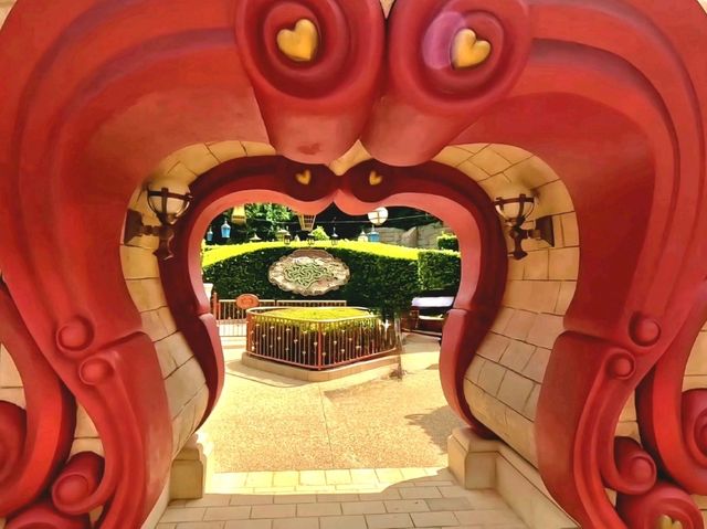 Get lost in Alice in Wonderland Maze!