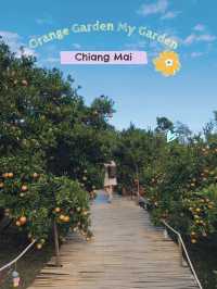 รีวิว Orange Garden “My Garden” – ม่อนแจ่ม 🍊