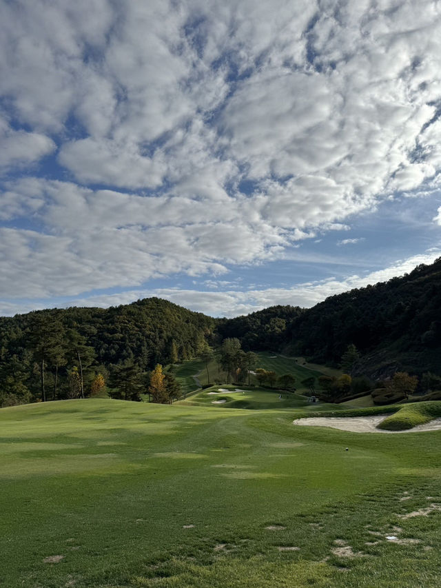 ⛳ 춘천 파가니카CC 라운딩 솔직후기