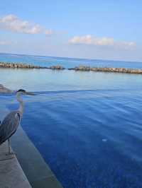 Escape to the blue- Maldives Magic