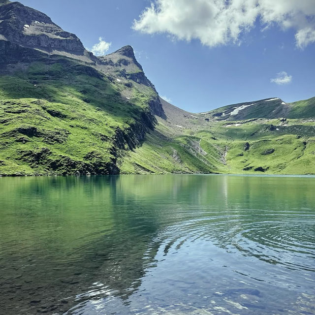 Alpine Freedom: A Solo Summer Adventure in the Bernese Oberland