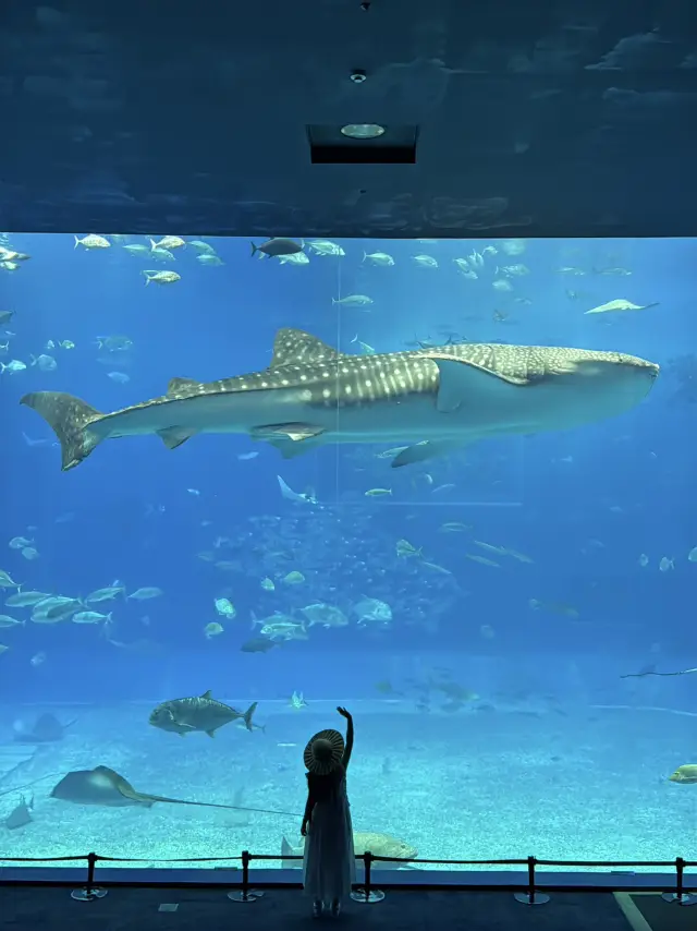 【沖繩】用錯峰旅遊拍出獨一無二的照片!