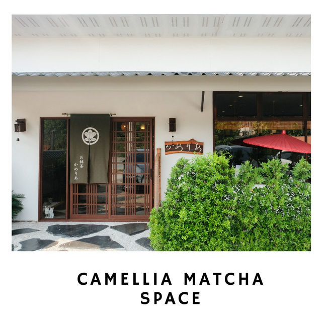 🍵 พื้นที่สายมัทฉะห้ามพลาด: Camellia Matcha Space