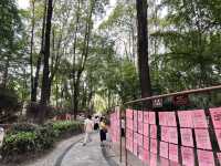 🌿☀️ Slow down and soak up the vibes at Chengdu People’s Park 人民公园