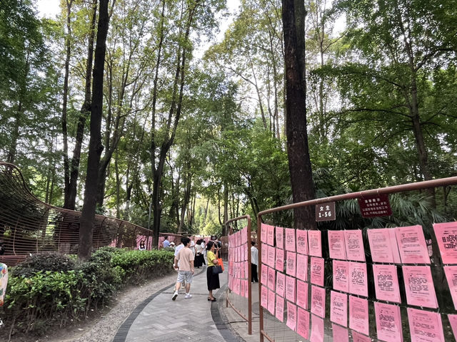 🌿☀️ Slow down and soak up the vibes at Chengdu People’s Park 人民公园