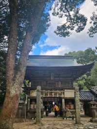 糸島自駕遊～