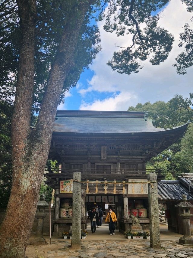糸島自駕遊～