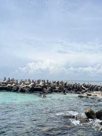 🌊🌴 Penghu Island – 3 Coastal Gems You Can’t Miss 