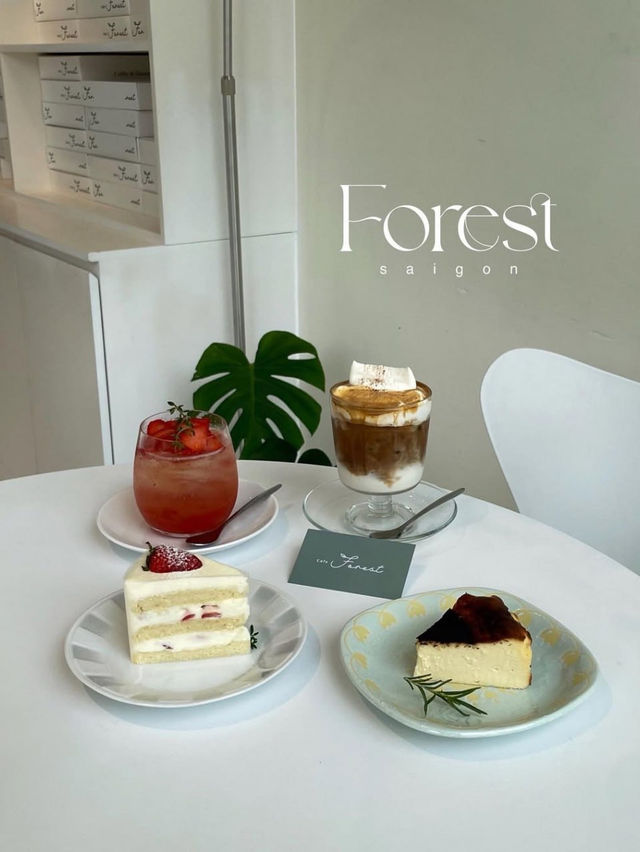 Cafe Forest
