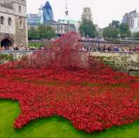 a must see if on holiday in London, It was a great tour