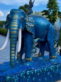 Blue, Bold & Totally Mesmerizing