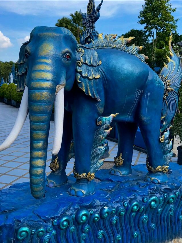 Blue, Bold & Totally Mesmerizing