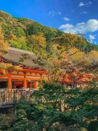 วัดคิโยมิซึ (Kiyomizu‑dera) ตอนฤดูใบไม้เปลี่ยนสี 