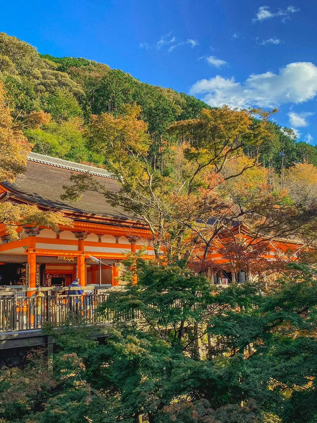 วัดคิโยมิซึ (Kiyomizu‑dera) ตอนฤดูใบไม้เปลี่ยนสี 