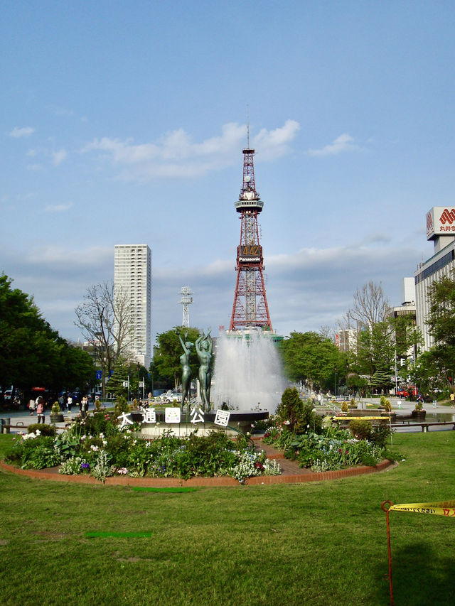 🌳 Serenity at the Heart of Sapporo – Odori Park