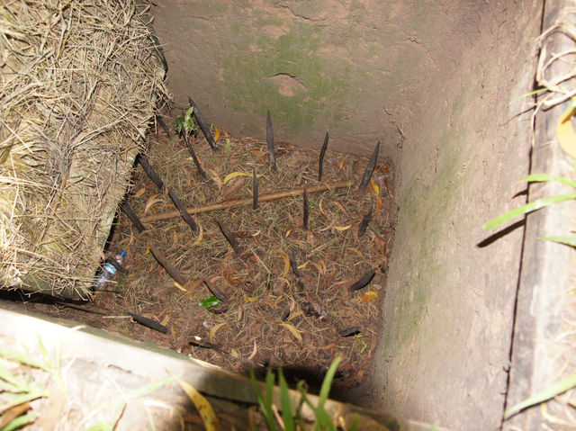 🕳️ A Deep Dive into History: Visiting the Cu Chi Tunnels