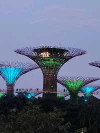 Stunning Night Views at Marina Bay Sands & Gardens by the Bay!