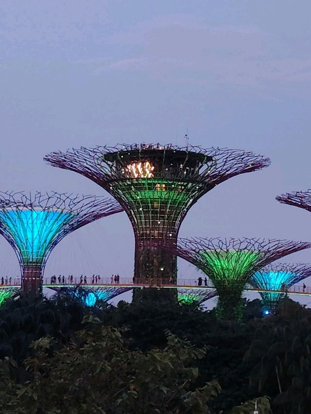 Stunning Night Views at Marina Bay Sands & Gardens by the Bay!