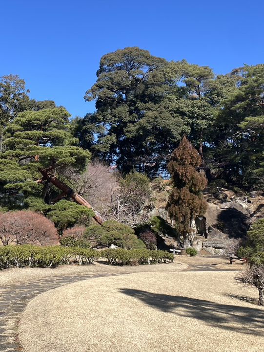 伊豆長岡 三養莊
