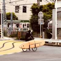 🌊 Solo Escape: Enoshima Day Trip – Beyond the Tourist Trail
