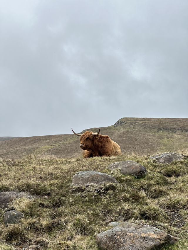 🛣️ Roadtrip Scotland: 6 จุดเช็คอิน