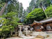 高山 | 櫻山八幡宮，巨大鳥居與古老的神社