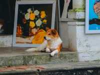 เมืองเก่าฮอยอัน (Hoi An Ancient Town)