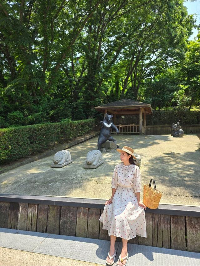 국내 최대규모 베어파크가 있는 세종여행지💚