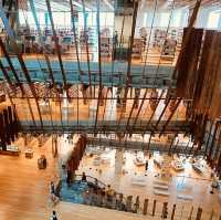 Toyama Glass Art Museum: Where Light & Glass Dance – A Solo Traveler’s Crystal Fantasy"** ✨🏛️