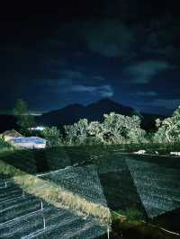 Chasing Sunrise on Wheels: Mount Batur Jeep Adventure