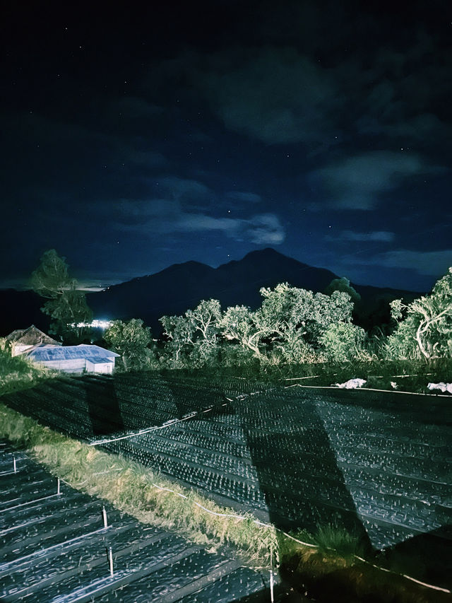 Chasing Sunrise on Wheels: Mount Batur Jeep Adventure